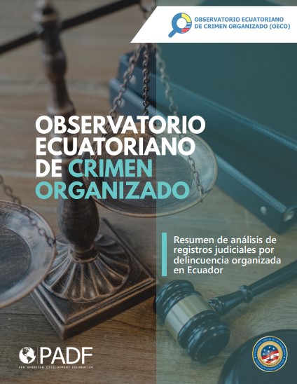 Resumen de análisis de registros judiciales por delincuencia organizada en Ecuador